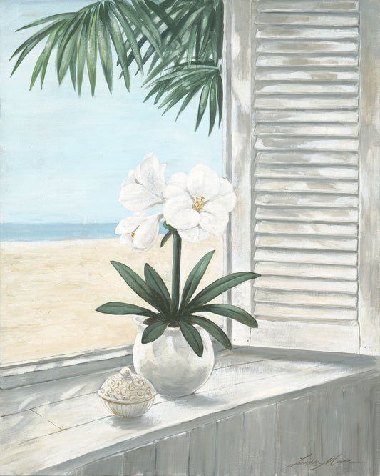 Coastal Orchid