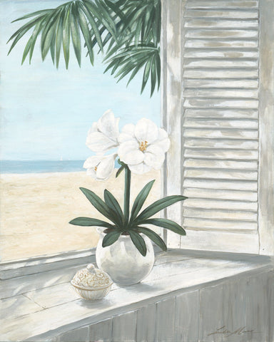 Coastal Orchid