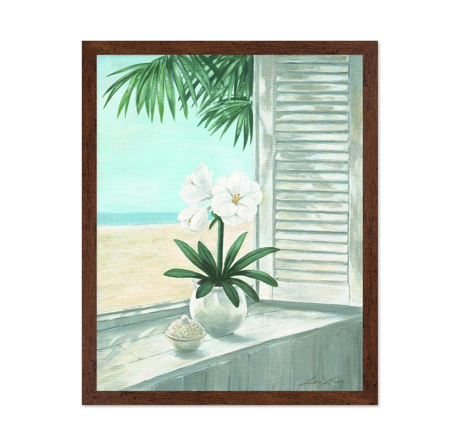 Coastal Orchid