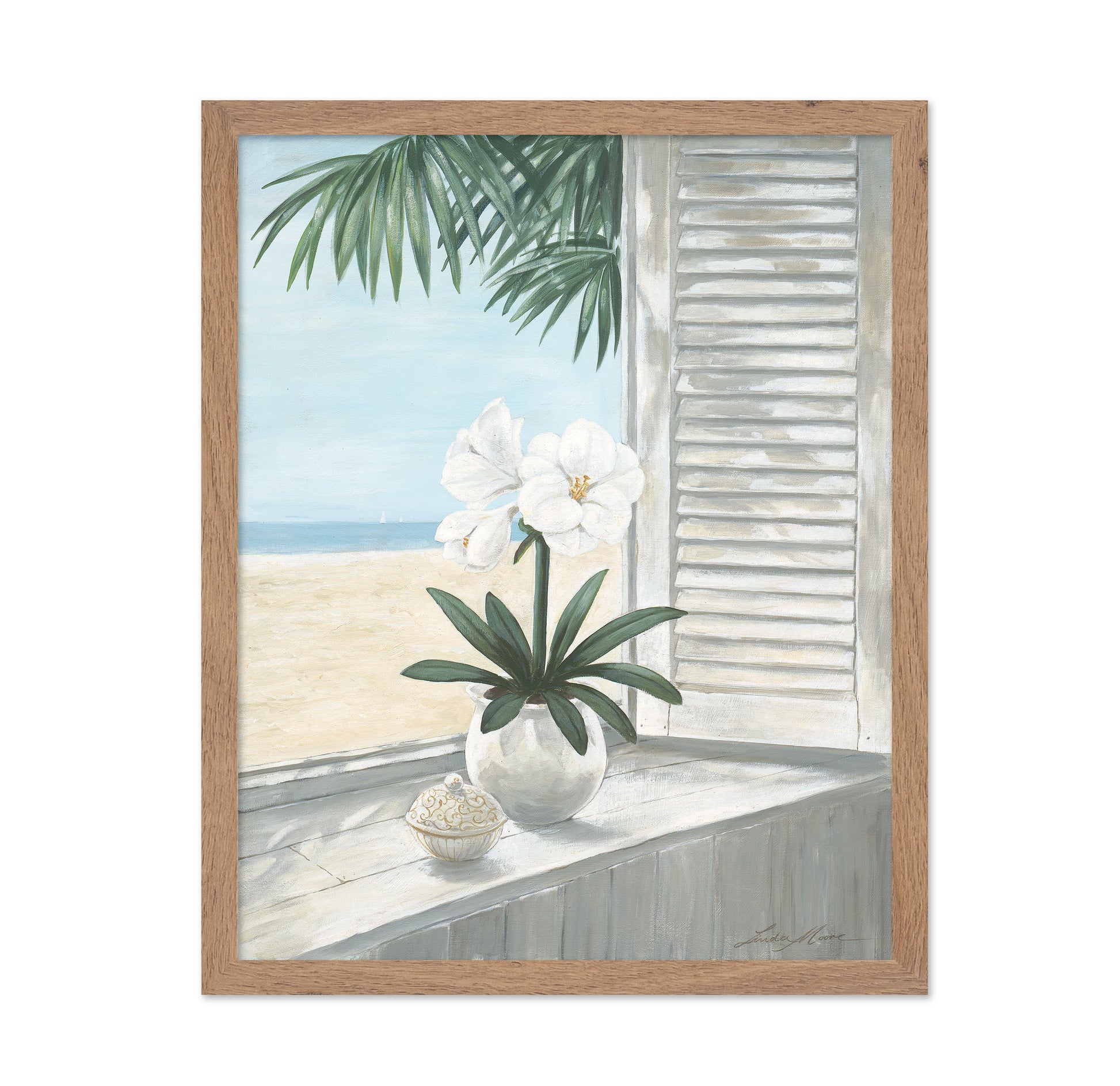 Coastal Orchid