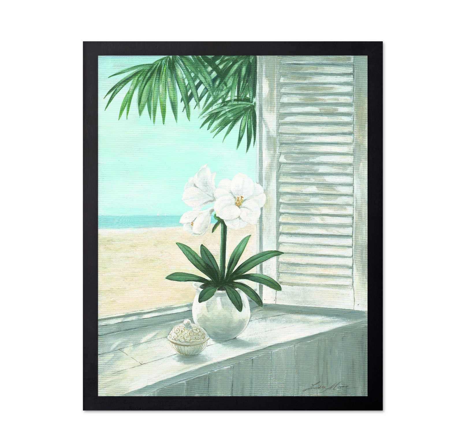 Coastal Orchid