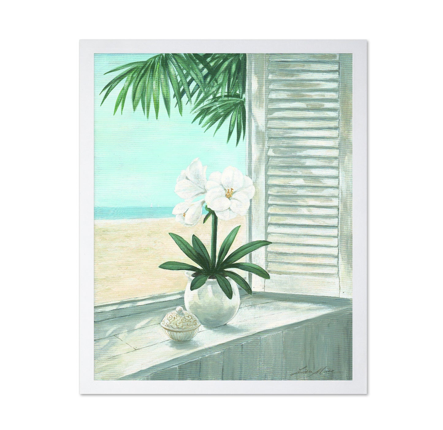 Coastal Orchid