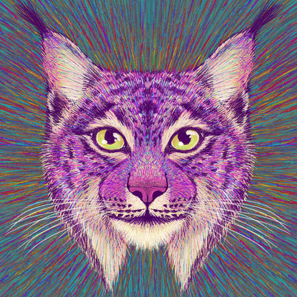 Psychedelic Lynx