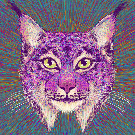 Psychedelic Lynx