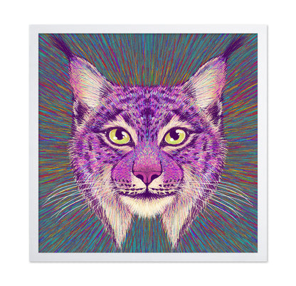 Psychedelic Lynx