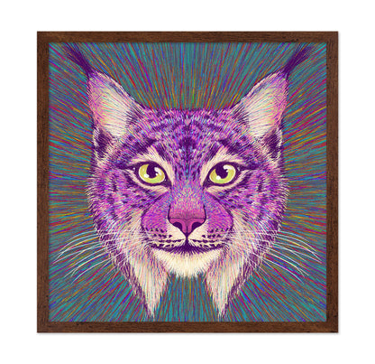Psychedelic Lynx
