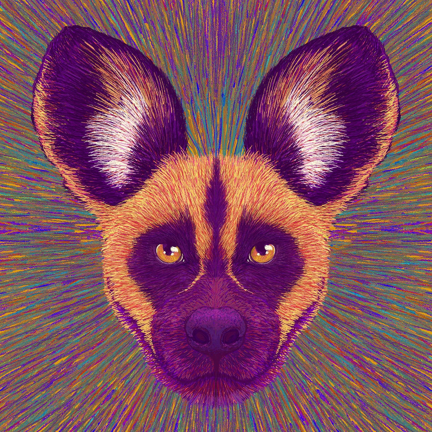 Wild Dog Radiance