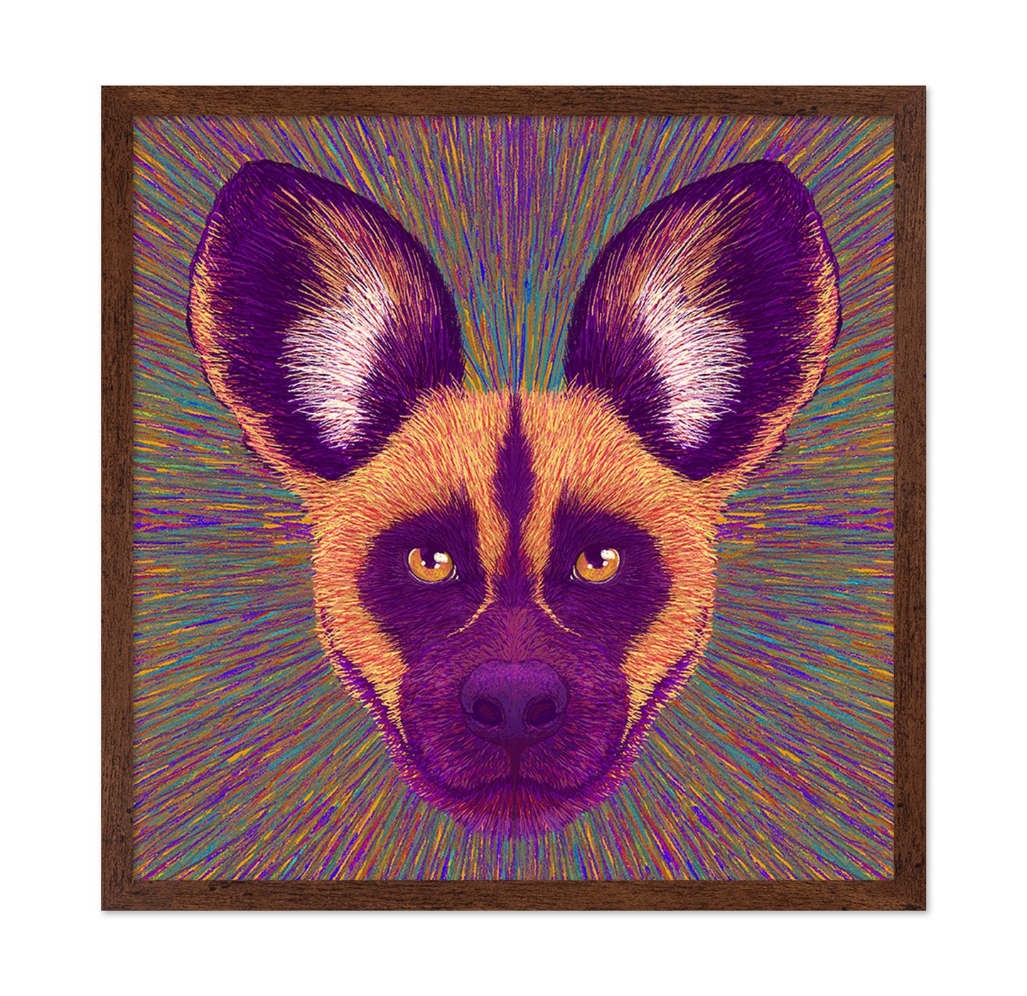 Wild Dog Radiance