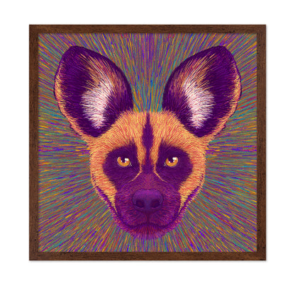 Wild Dog Radiance