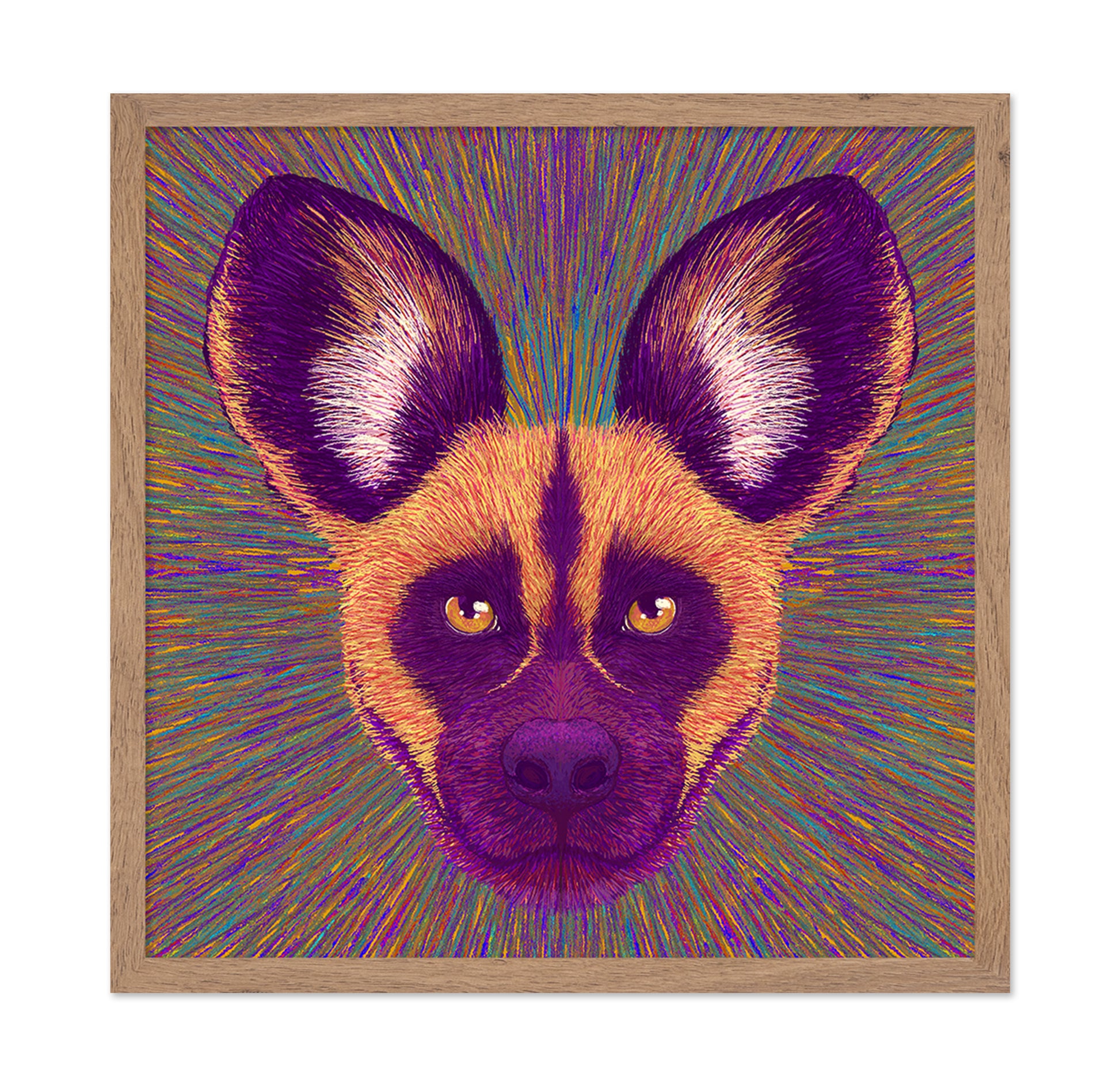 Wild Dog Radiance