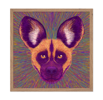 Wild Dog Radiance