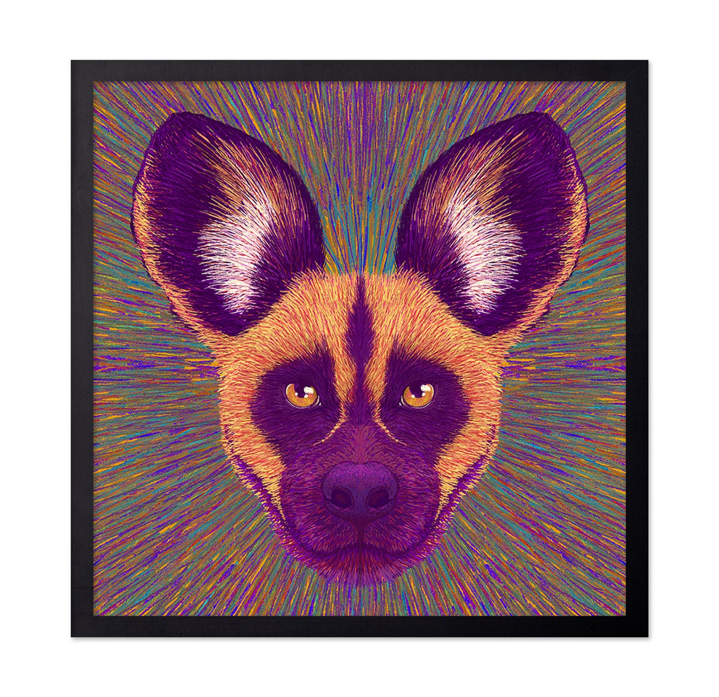 Wild Dog Radiance