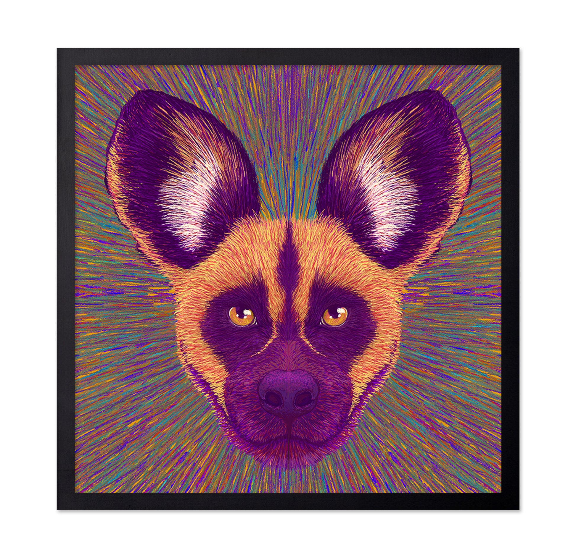 Wild Dog Radiance