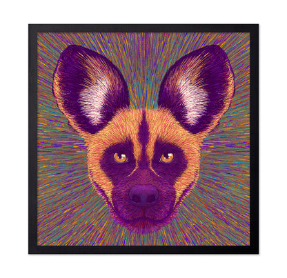 Wild Dog Radiance