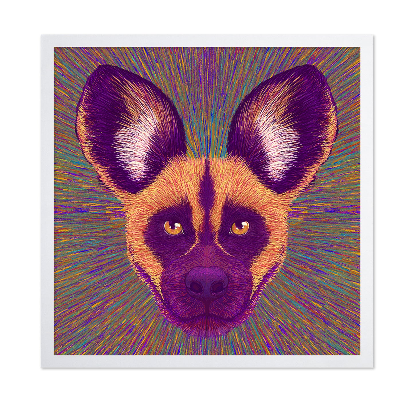 Wild Dog Radiance