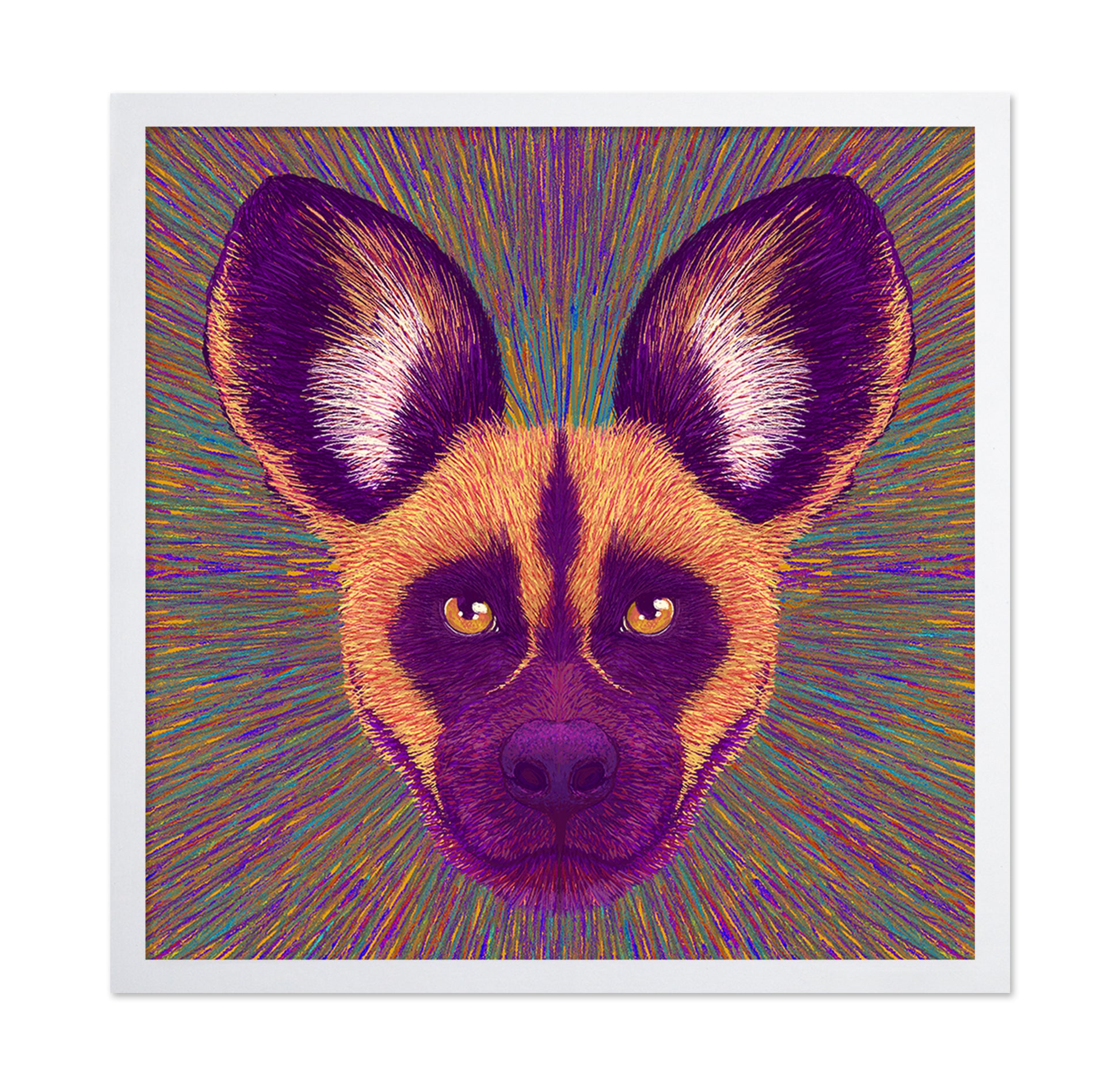 Wild Dog Radiance