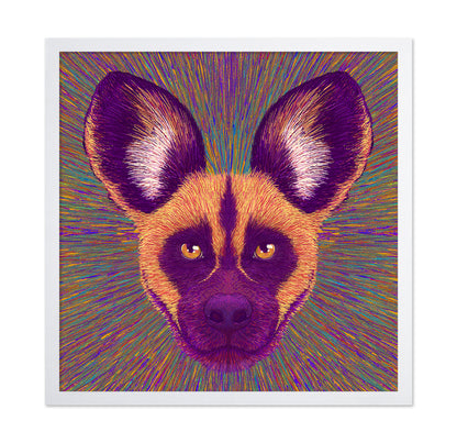 Wild Dog Radiance
