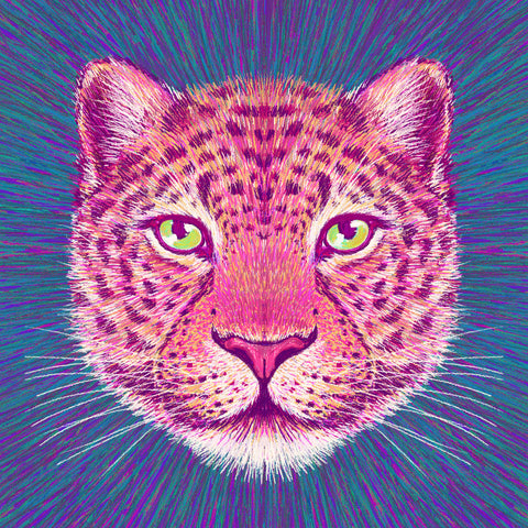 Neon Leopard Gaze