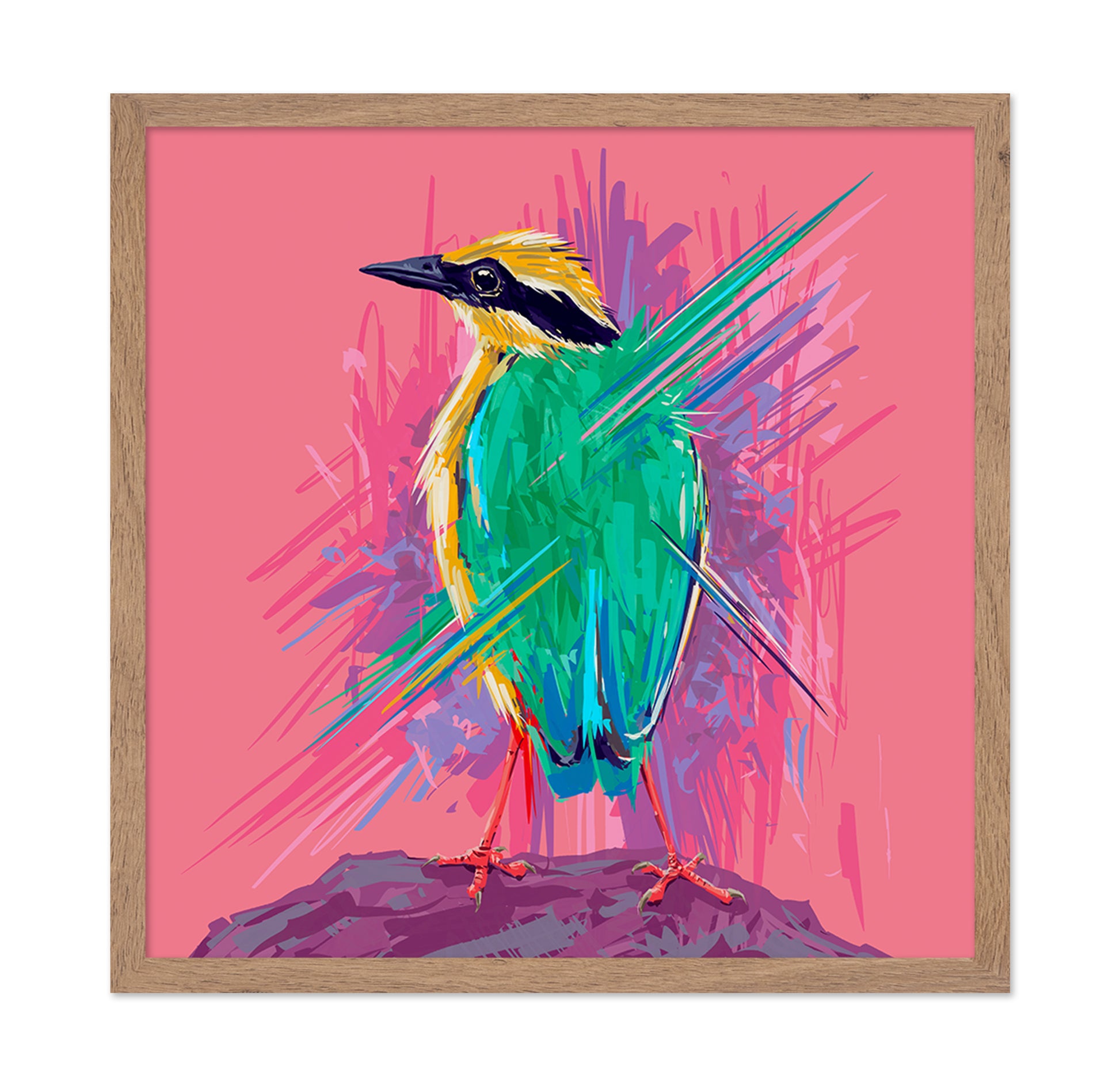 Indian Pitta Burst