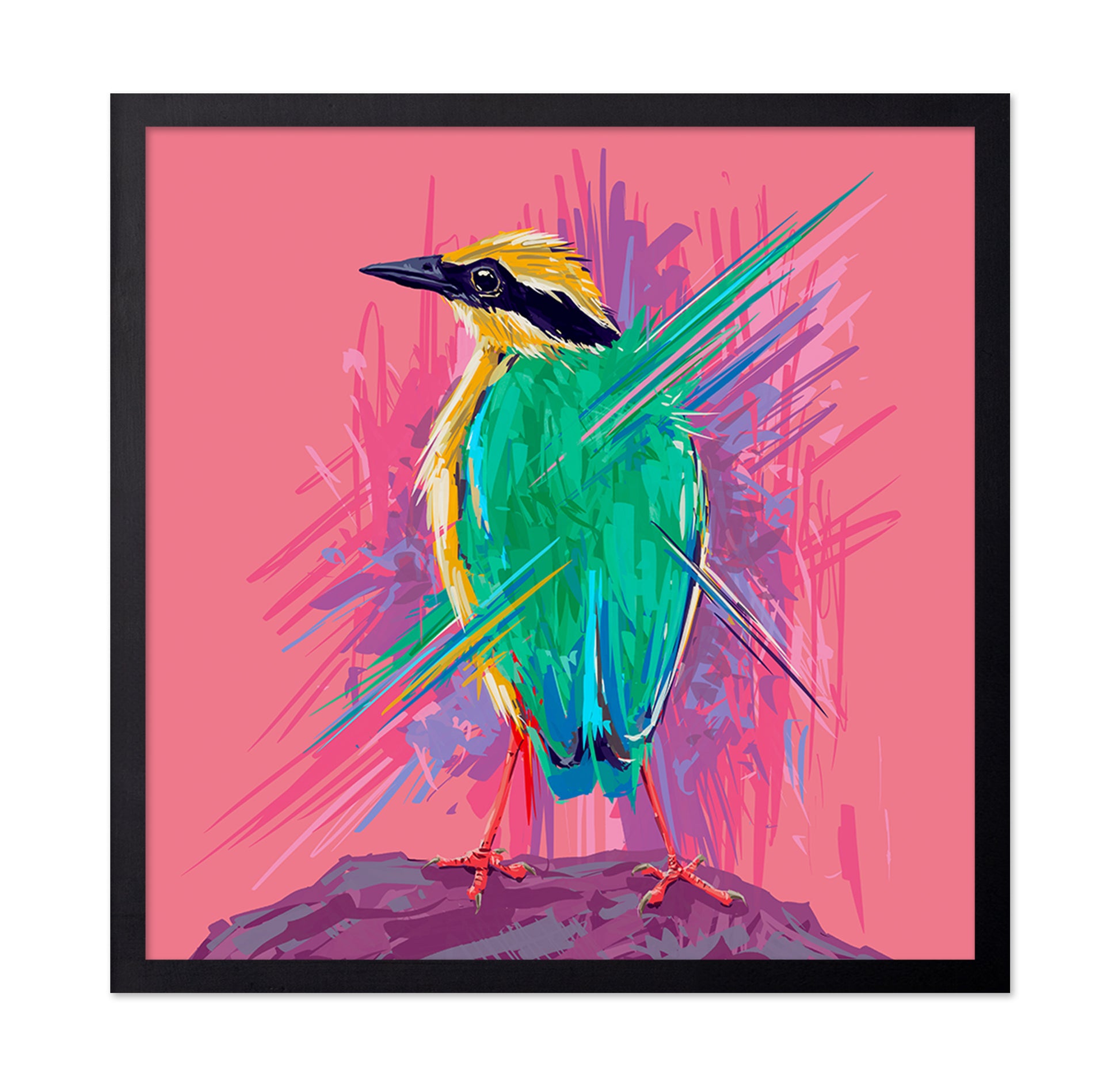 Indian Pitta Burst