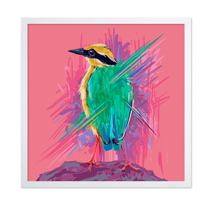 Indian Pitta Burst