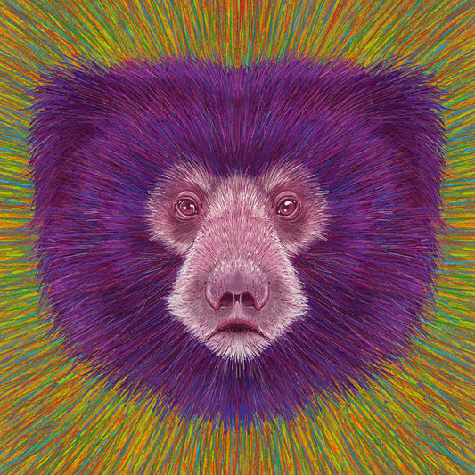 Psychedelic Bear Face