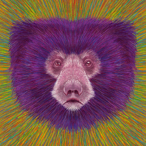 Psychedelic Bear Face