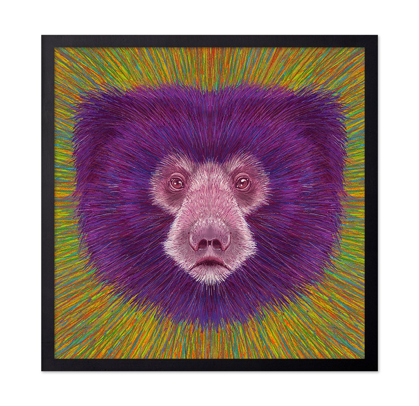 Psychedelic Bear Face
