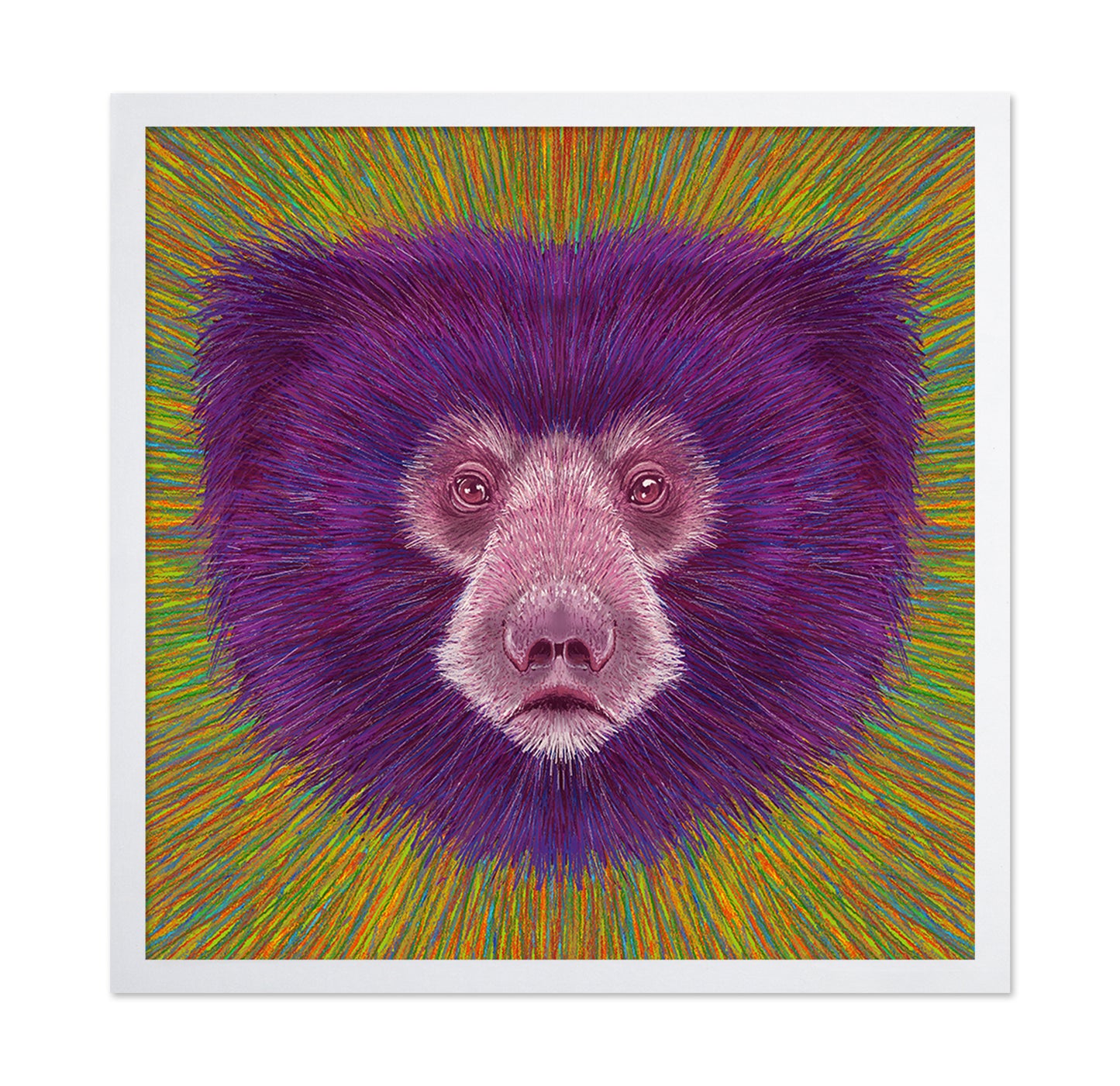 Psychedelic Bear Face