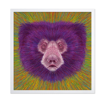 Psychedelic Bear Face