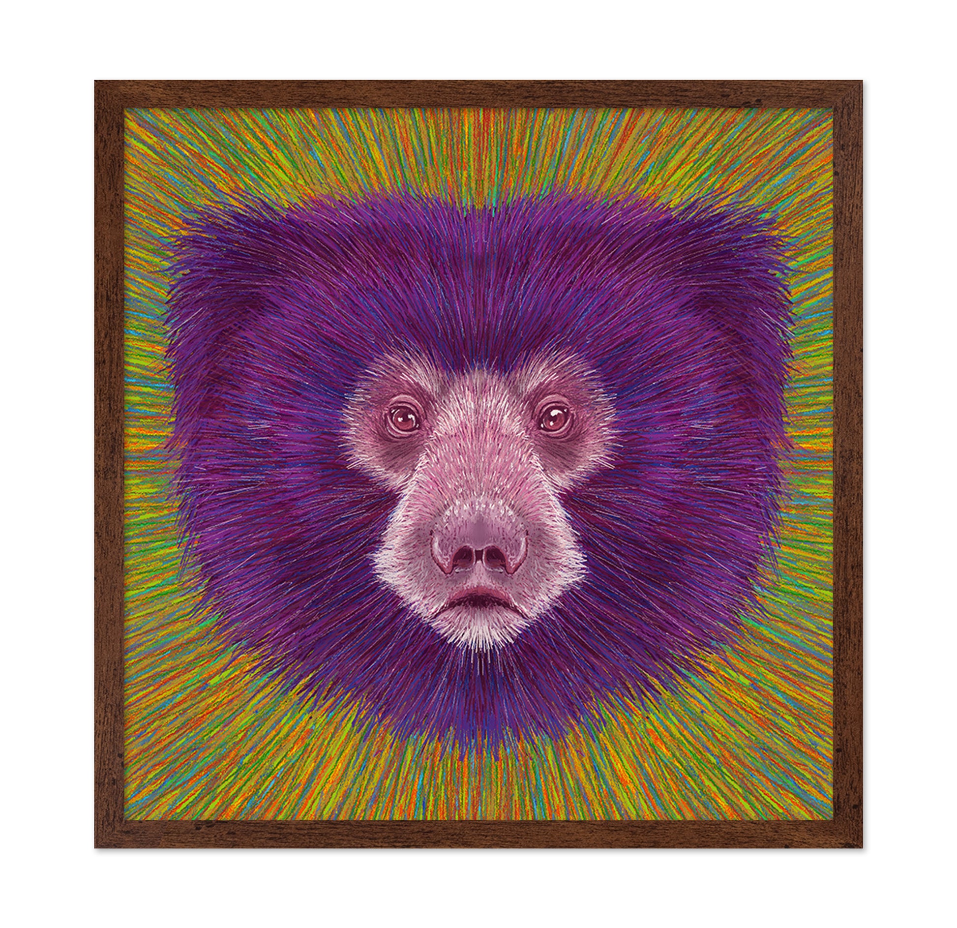 Psychedelic Bear Face