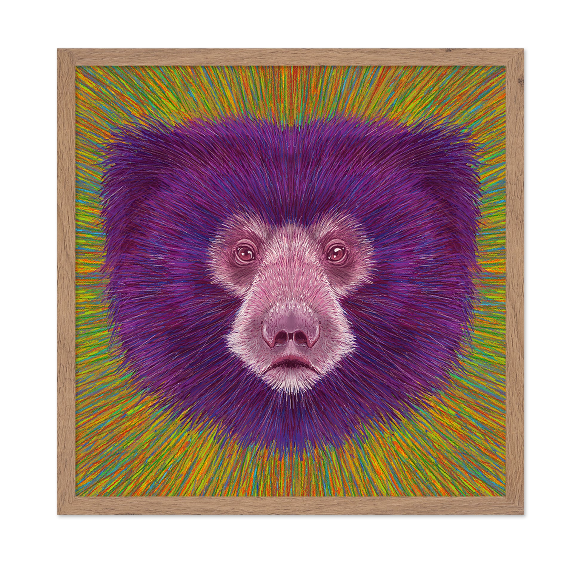 Psychedelic Bear Face