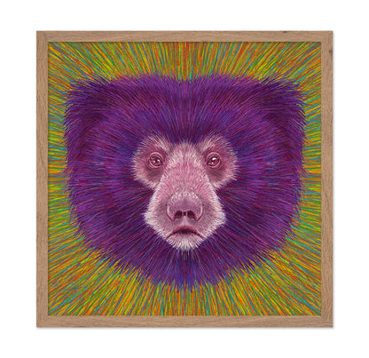 Psychedelic Bear Face