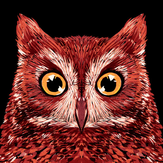 Red Owl Face