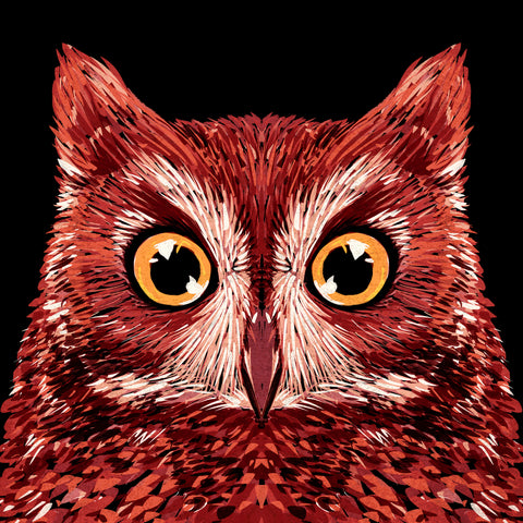 Red Owl Face