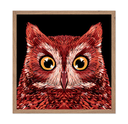 Red Owl Face