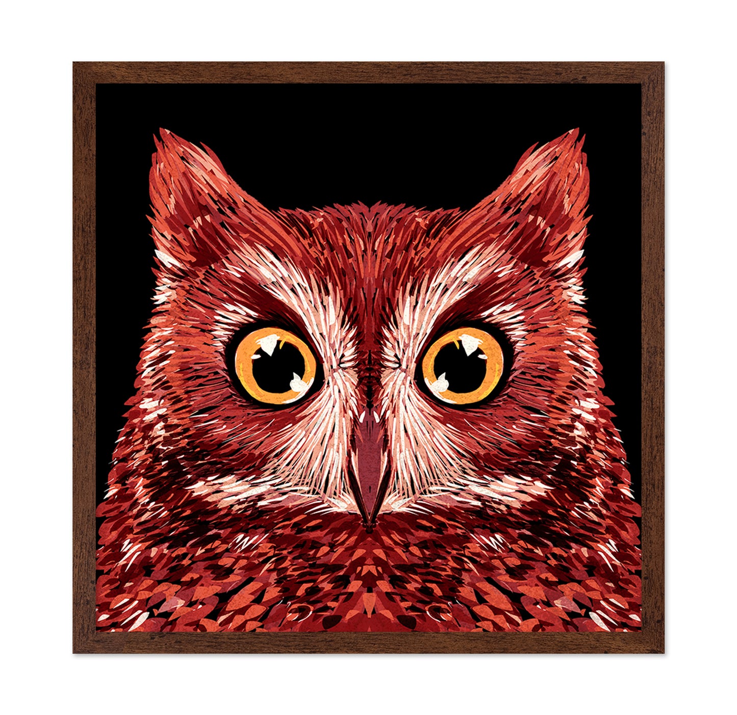 Red Owl Face