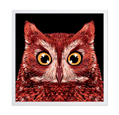 Red Owl Face
