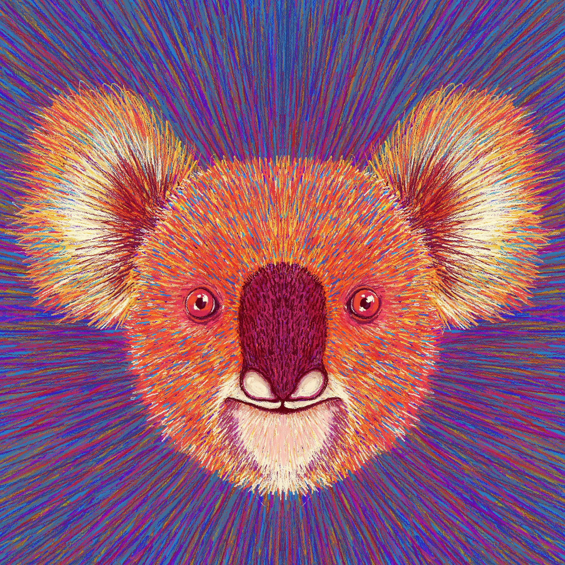 Psychedelic Koala Face