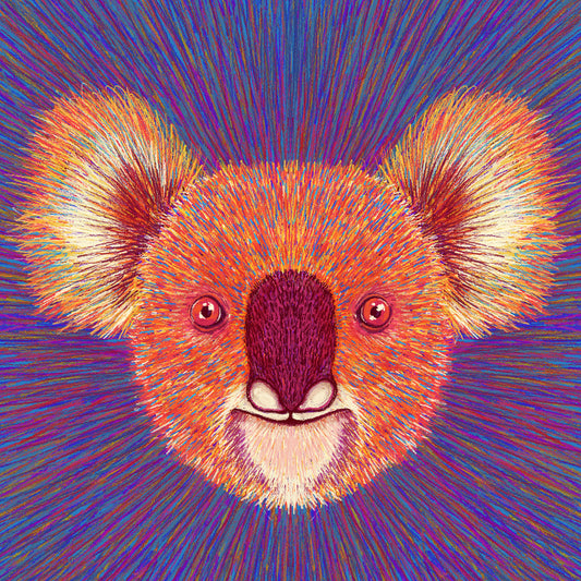 Psychedelic Koala Face