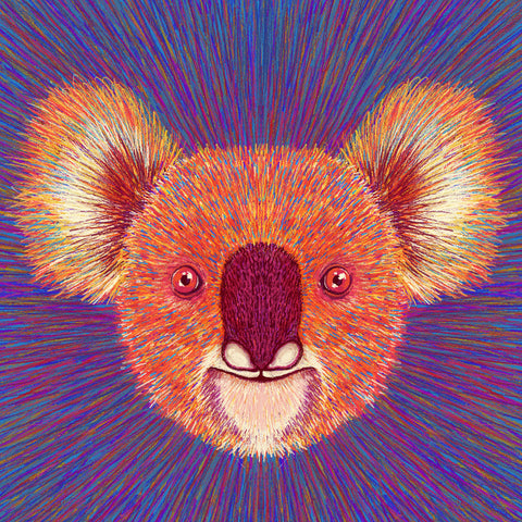 Psychedelic Koala Face