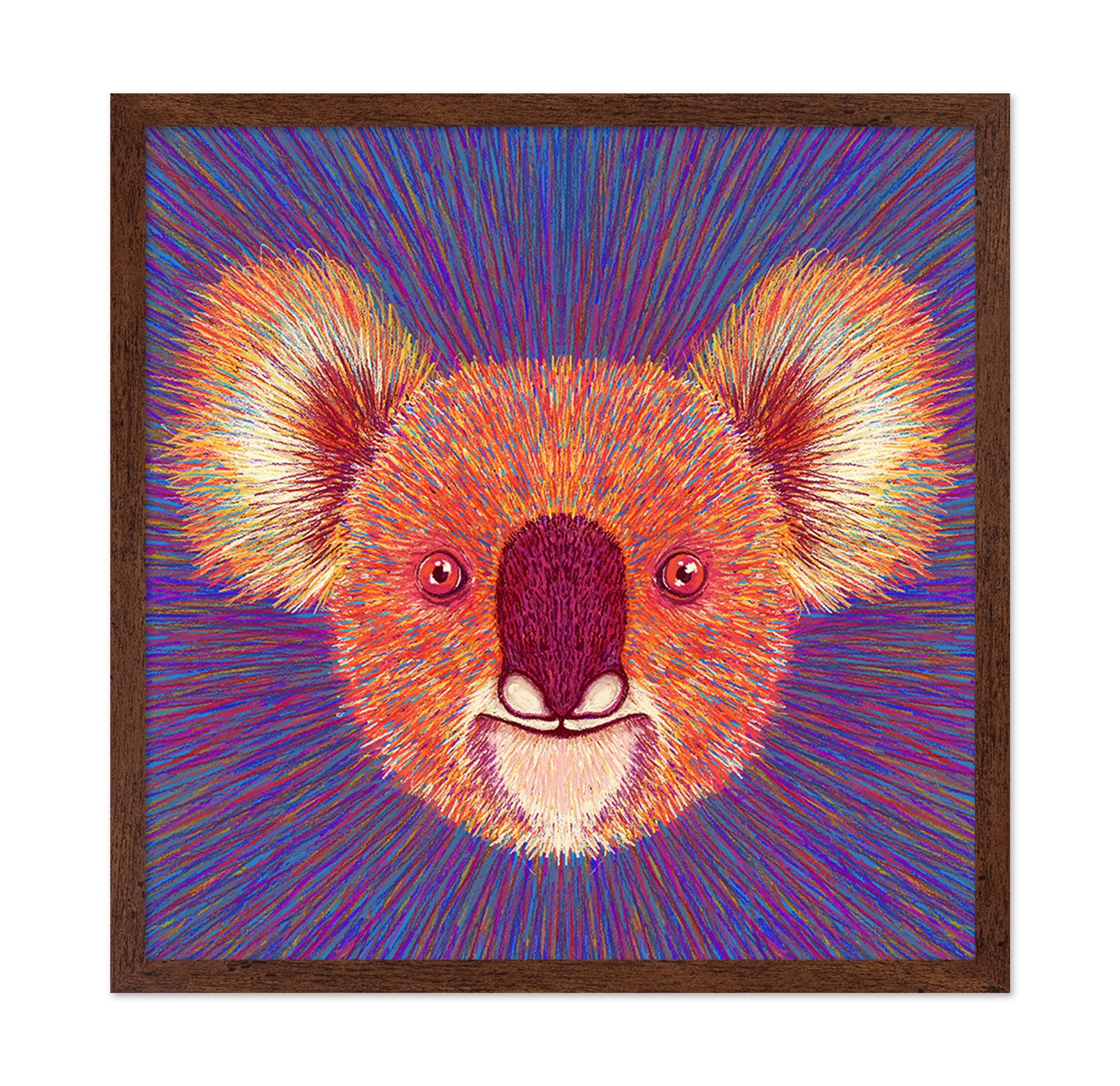 Psychedelic Koala Face