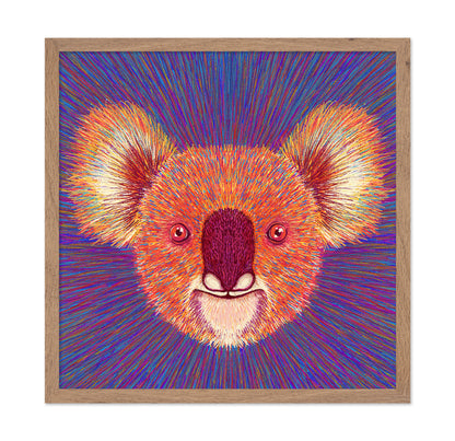 Psychedelic Koala Face