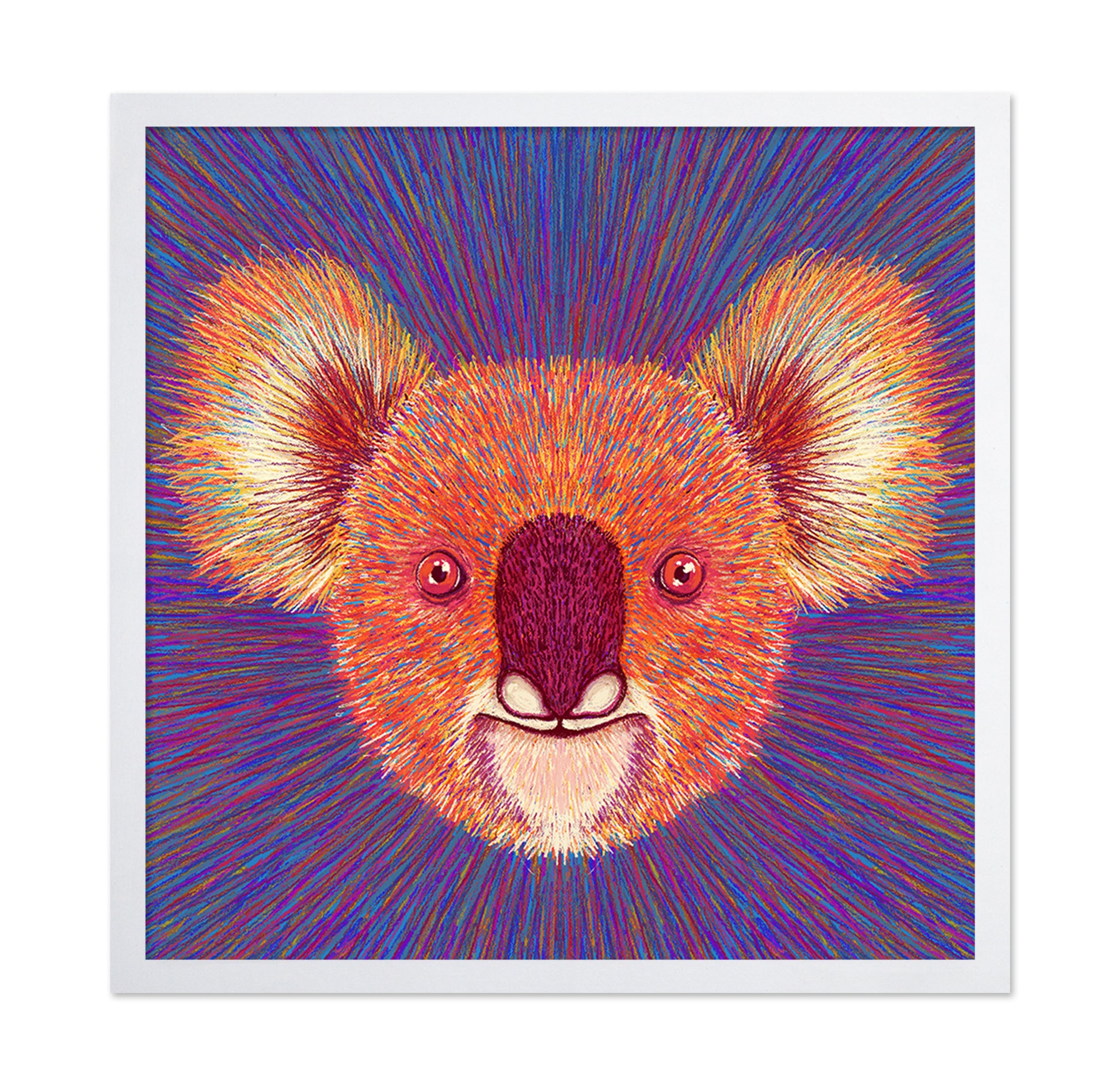 Psychedelic Koala Face
