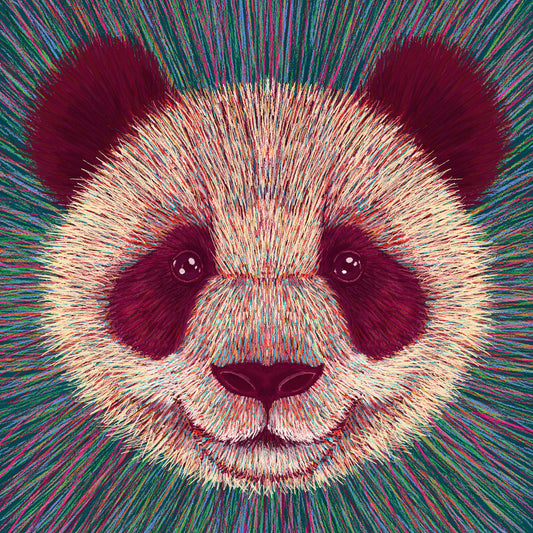 Psychedelic Panda Face