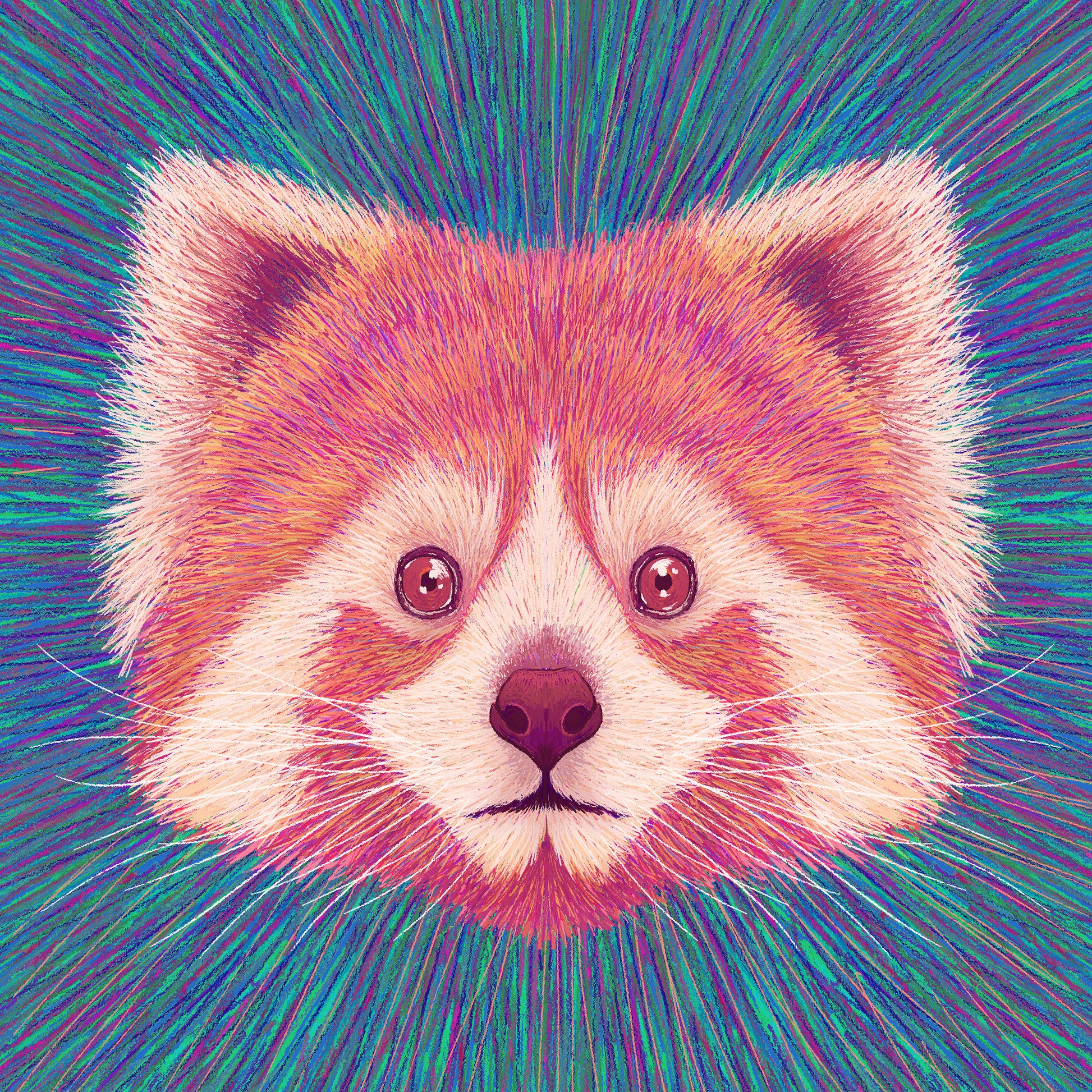 Psychedelic Red Panda