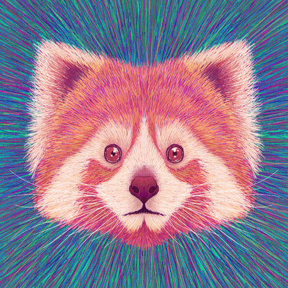 Psychedelic Red Panda