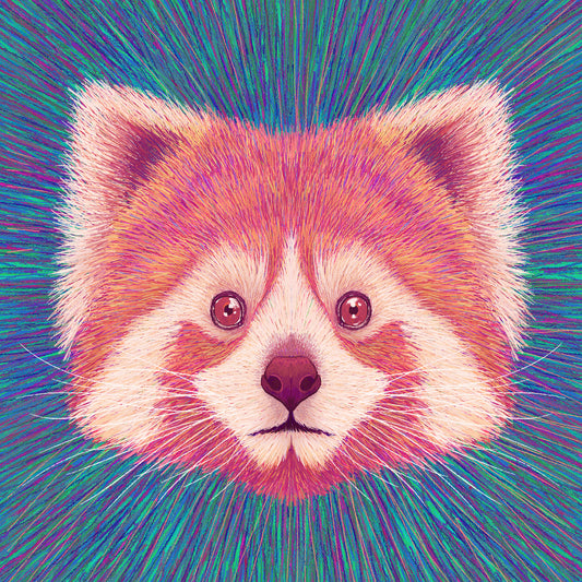 Psychedelic Red Panda