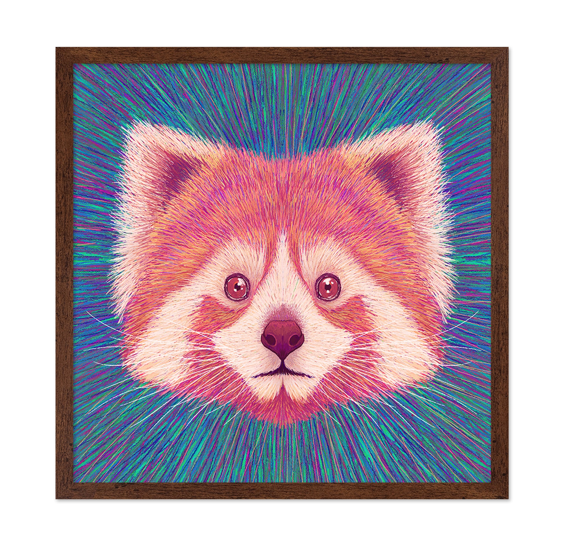 Psychedelic Red Panda