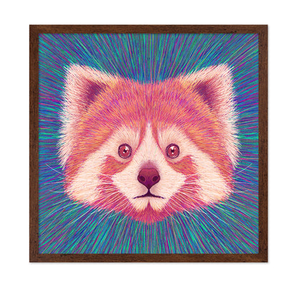 Psychedelic Red Panda